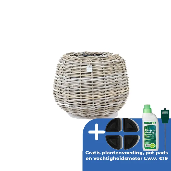 Drypot tina rotan d45h34cm bruin - afbeelding 1