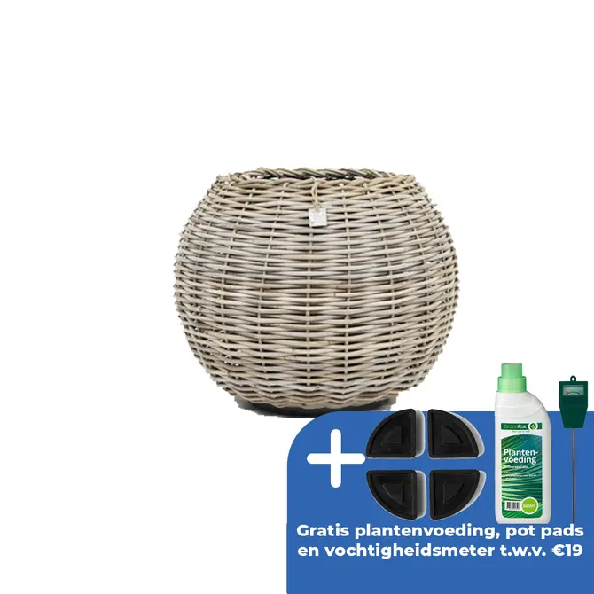 Drypot tina rotan d55h44cm bruin - afbeelding 1