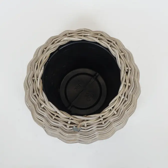 Drypot tina rotan d55h44cm bruin - afbeelding 2