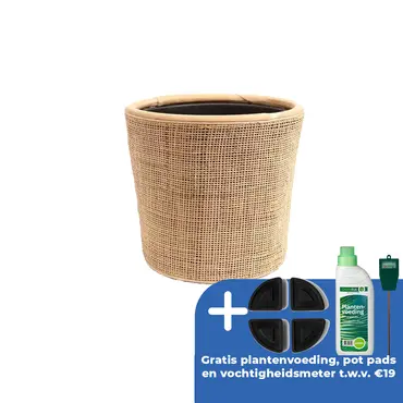 Drypot webbing blond d31h29cm