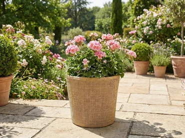 Drypot webbing blond d31h29cm - afbeelding 2