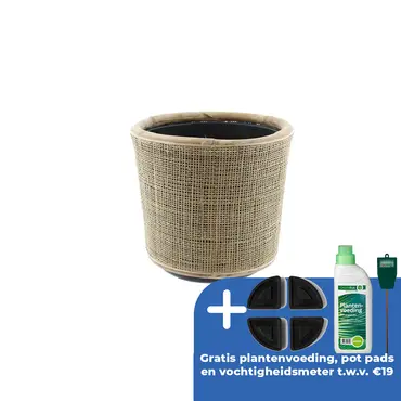 Drypot webbing blond d38h38cm