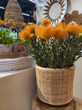 Drypot webbing blond d38h38cm - afbeelding 3