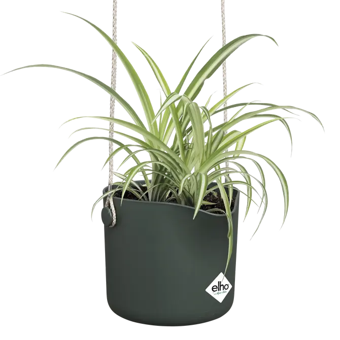 ELHO Hangpot b.for swing 18cm blad groen sfeer, Elho, tuincentrumoutlet