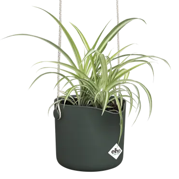 ELHO Hangpot b.for swing 18cm blad groen sfeer, Elho, tuincentrumoutlet