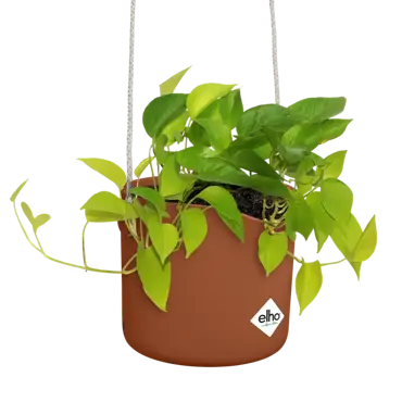 ELHO Hangpot b.for swing 18cm brique detail plant, Elho, tuincentrumoutlet