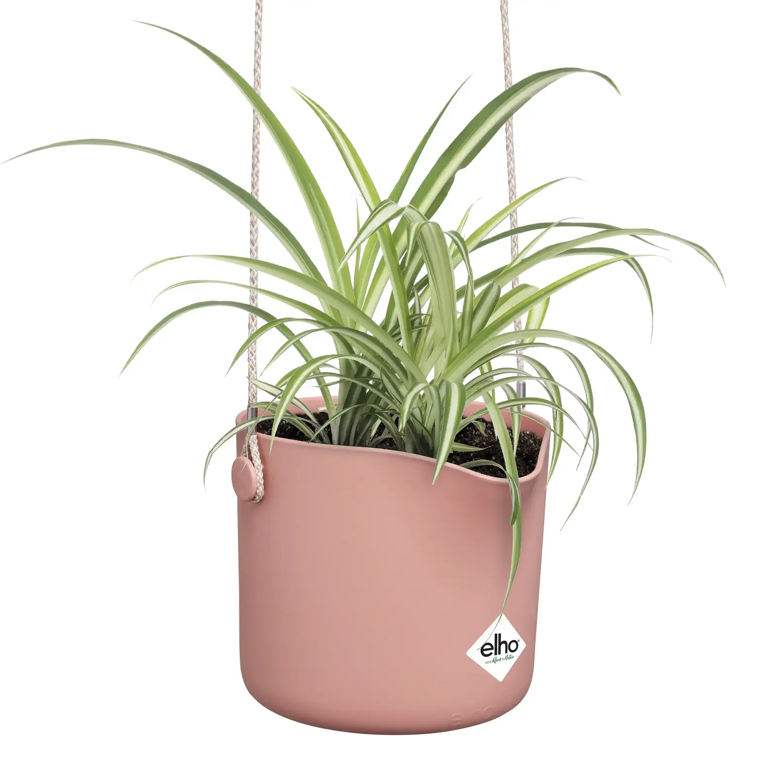 ELHO Hangpot b.for roze - Tuincentrum Outlet