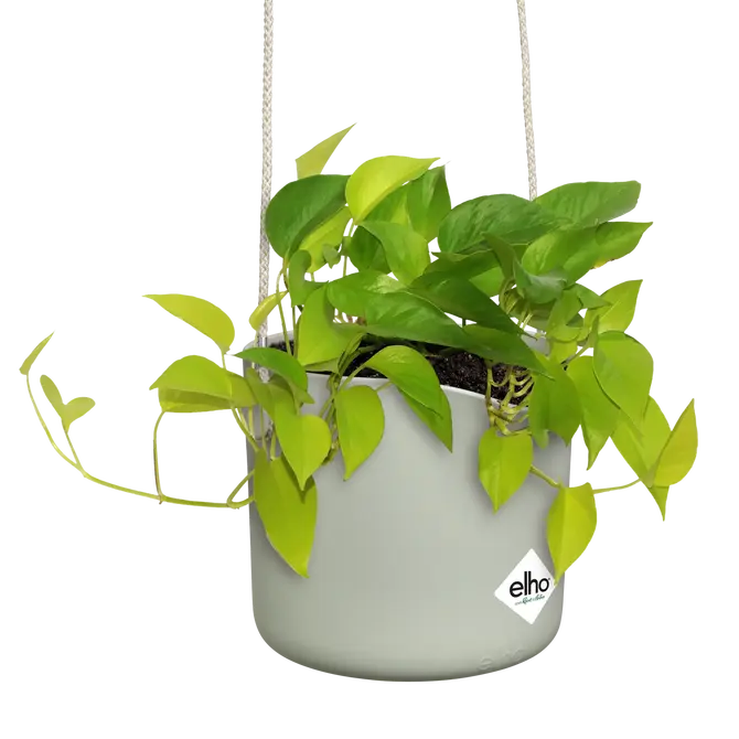 ELHO Hangpot b.for swing 18cm steengroen sfeer, Elho, tuincentrumoutlet