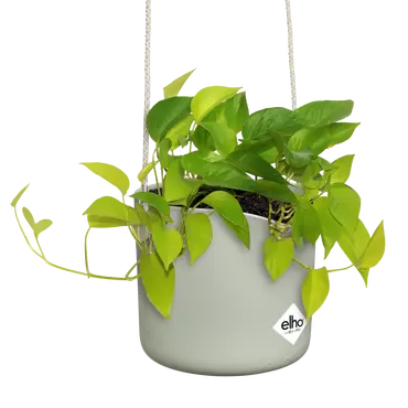 ELHO Hangpot b.for swing 18cm steengroen sfeer, Elho, tuincentrumoutlet