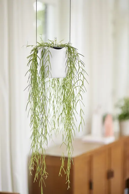 ELHO Hangpot b.for swing 18cm wit sfeer, Elho, tuincentrumoutlet