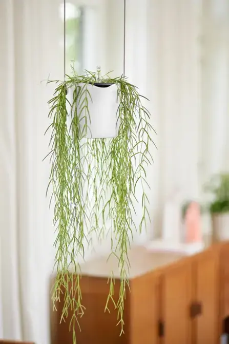 ELHO Hangpot b.for swing 18cm hangplant, Elho, tuincentrumoutlet