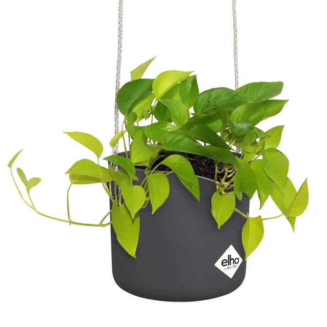 ELHO Hangpot b.for swing d18cm antrct sfeer, Elho, tuincentrumoutlet