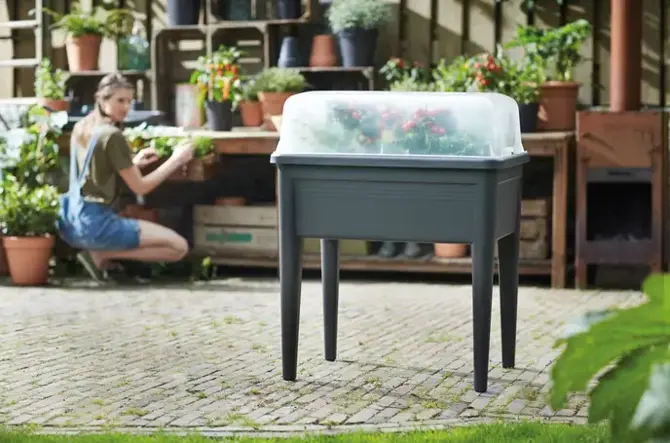 Elho Kweekhuis Green Basics XXL 75 cm Transparant sfeer, Elho, tuincentrumoutlet