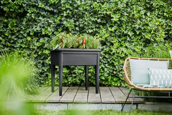 Elho Kweektafel green basic super xxl living black sfeerfoto, Elho, tuincentrumoutlet