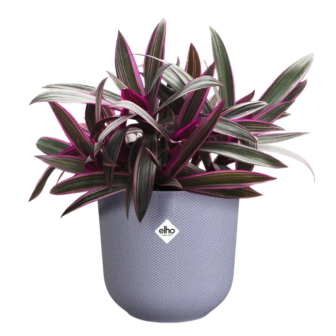 ELHO Pot jazz 14cm lavendel lila sfeer, Elho, tuincentrumoutlet