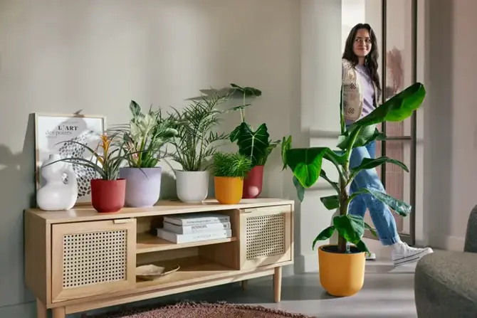 ELHO Pot jazz 14cm lavendel lila sfeer woonkamer, Elho, tuincentrumoutlet