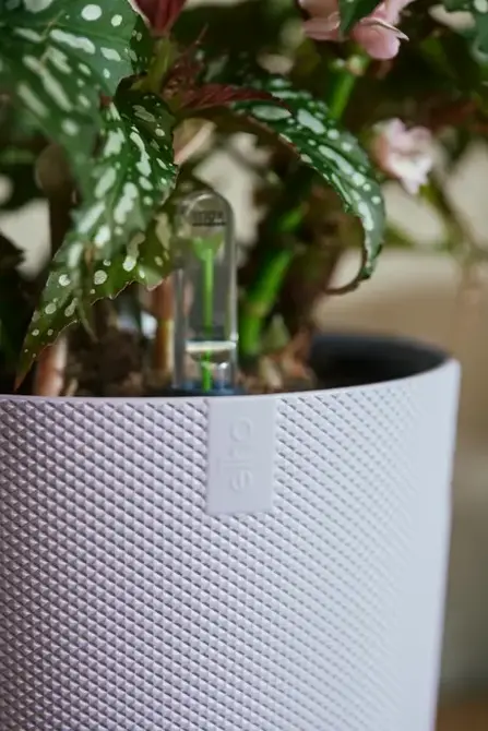 ELHO Pot jazz 19cm lavendel lila watermeter, Elho, tuincentrumoutlet