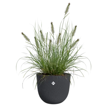 Pot sereh d30cm antraciet sfeer, Elho, tuincentrumoutlet.com
