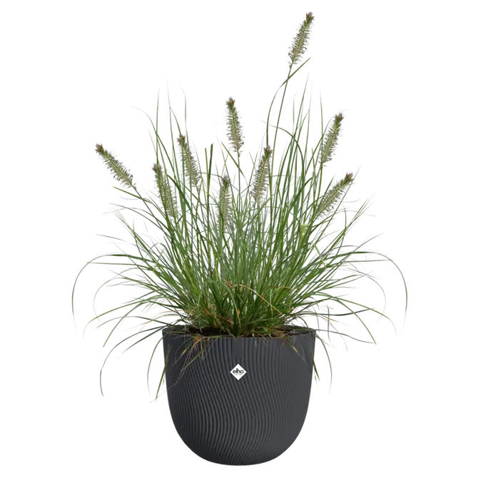 Pot sereh d40cm antraciet sfeer, Elho, tuincentrumoutlet.com