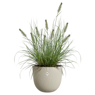 ELHO Pot sereh d40cm paddenstoel beige sfeer, Elho, tuincentrumoutlet.com