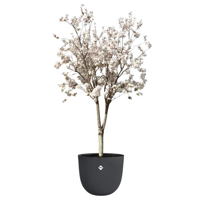 Pot sereh d47cm antraciet sfeer, Elho, tuincentrumoutlet.com