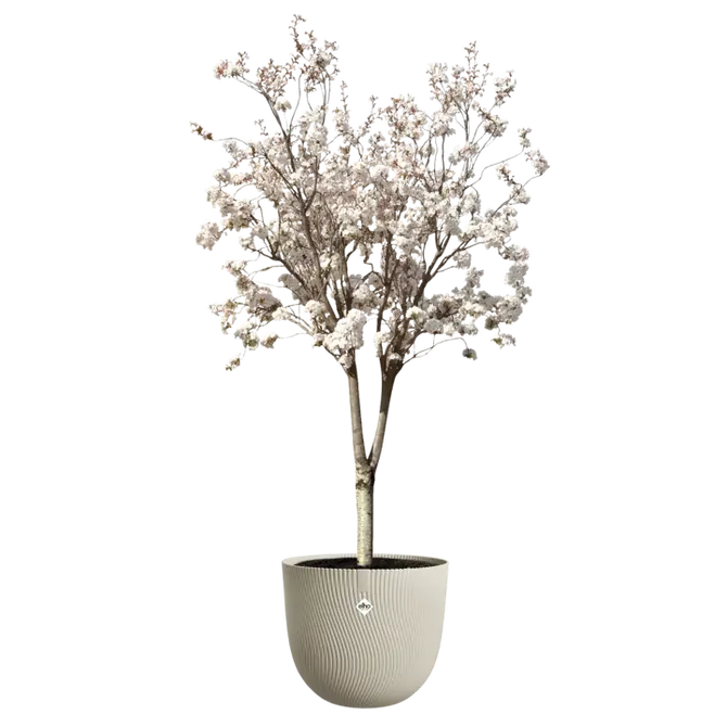 ELHO Pot sereh d47cm paddenstoel beige sfeer, Elho, tuincentrumoutlet.com