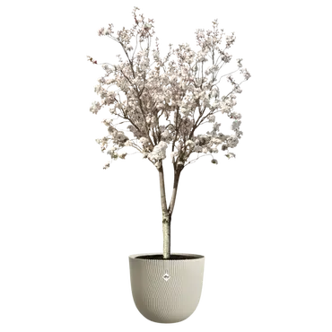 ELHO Pot sereh d47cm paddenstoel beige sfeer, Elho, tuincentrumoutlet.com