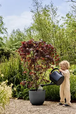 Pot sereh d60cm antraciet sfeerbeeld, Elho, tuincentrumoutlet.com