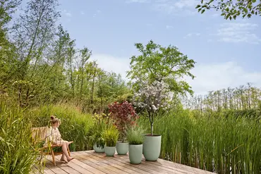 Pot sereh d60cm groen sfeerbeeld, Elho, tuincentrumoutlet.com