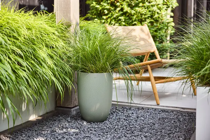 Pot sereh hg d30cm groen sfeerfoto, Elho, tuincentrumoutlet.com