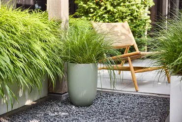 Pot sereh hg d30cm groen sfeerfoto, Elho, tuincentrumoutlet.com