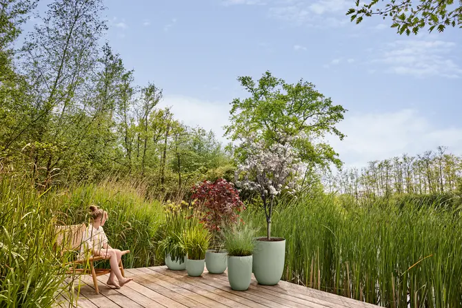 Pot sereh hg d30cm groen setfoto, Elho, tuincentrumoutlet.com