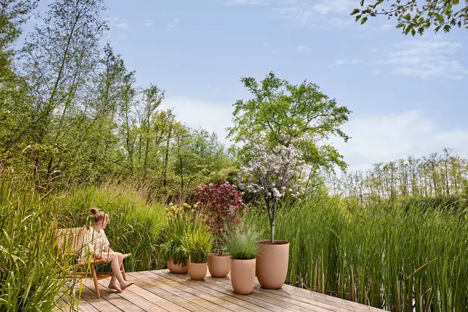 Pot sereh hg d30cm koele klei setfoto, Elho, tuincentrumoutlet.com