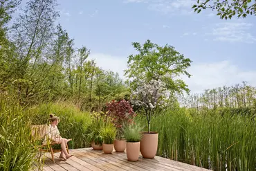 Pot sereh hg d30cm koele klei setfoto, Elho, tuincentrumoutlet.com