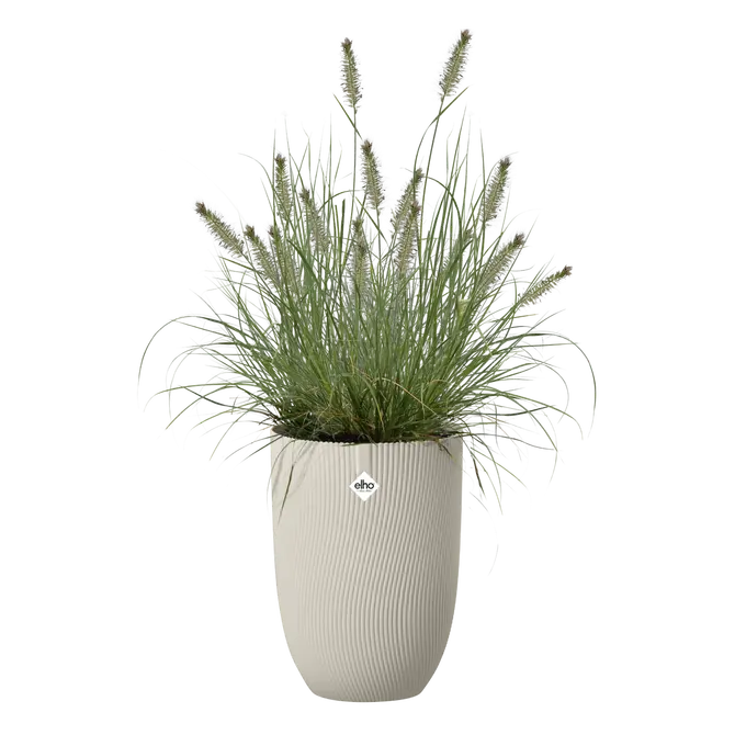 Pot sereh hg d30cm paddenstoel bg sfeer, Elho, tuincentrumoutlet.com