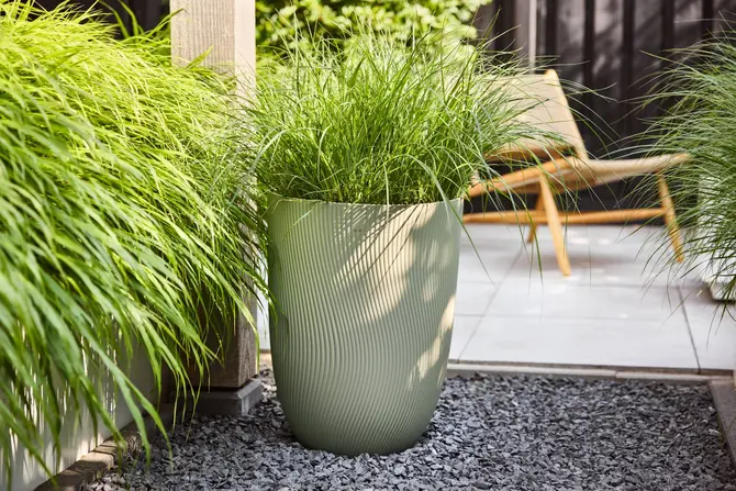 Pot sereh hg d40cm groen sfeer, Elho, tuincentrumoutlet.com