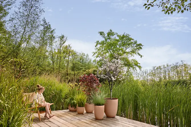 Pot sereh hg d40cm koele klei setfoto, Elho, tuincentrumoutlet.com