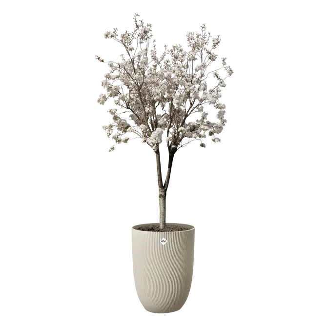 Pot sereh hg d40cm paddenstoel bg sfeer, Elho, tuincentrumoutlet.com