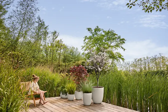 Pot sereh hg d40cm paddenstoel bg setfoto, Elho, tuincentrumoutlet.com