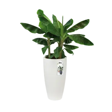 Elho Pot pure soft rond hoog d40cm wit pot plant Elho Tuincentrum Outlet