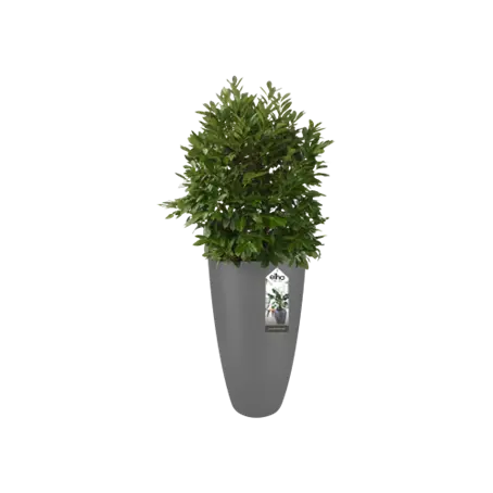 Pot pure soft rond hoog d50 cm antraciet pot plant Elho Tuibncentrum Outlet