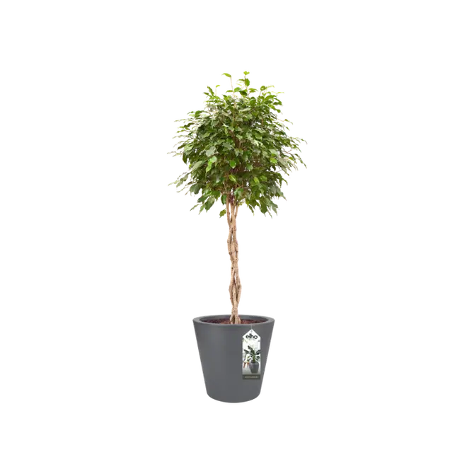 Pot pure straight d65cm antraciet sfeer, Elho, tuincentrumoutlet.com