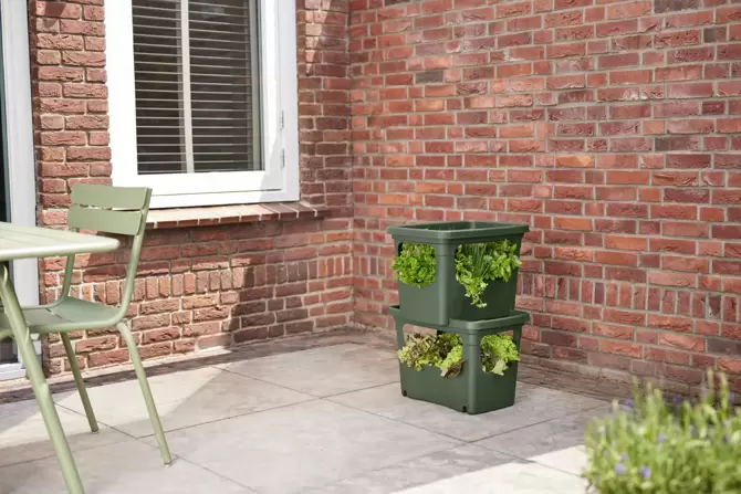 Elho stack & grow large bladgroen - afbeelding 7