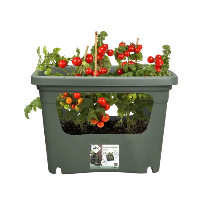 Elho stack & grow large bladgroen - afbeelding 3