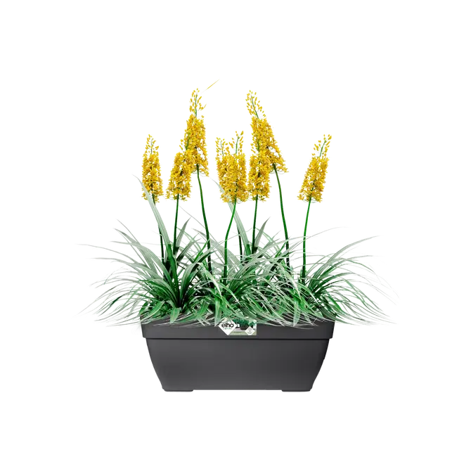 Elho Terrasbak vibia campana 80cm antraciet sfeer, Elho, tuincentrumoutlet