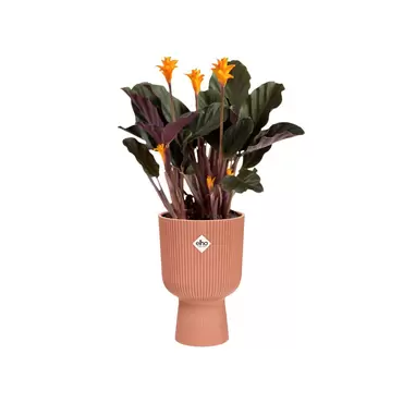 Pot vibes fold coupe d14cm roze sfeer, Elho, tuincentrumoutlet