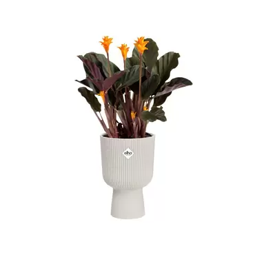 Pot vibes fold coupe d14cm wit sfeerbeeld, Elho, tuincentrumoutlet