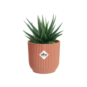 Pot vibes fold d7cm delicaatroze sfeer, Elho, tuincentrumoutlet