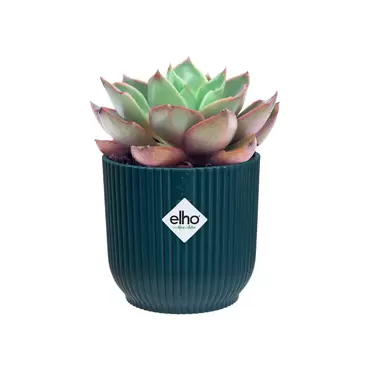 Pot vibes fold d7cm diepblauw sfeerbeeld, Elho, tuincentrumoutlet