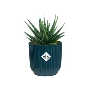 Pot vibes fold d9cm diepblauw sfeer, Elho, tuincentrumoutlet